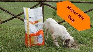 Mister Mix Dog. L'alimentazione naturale del cane