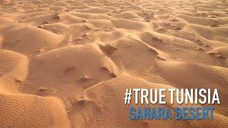 Tunisian Sahara: in the middle of sea of sand... True Tunisia / season 2 (day 7 & 8)