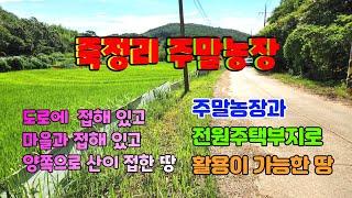 535 죽성리 주말농장매매 양쪽으로 산이 있는 장기전원주택부지매매 포항으로 출퇴근이 가능한 포항전원주택부지매매 장기주말농장매매 포항주말농장매매 장기부동산 포항부동산 지목부동산