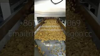 Honey crunch corn flakes maker machine industrial cornflakes production line #cornflakes #extruder