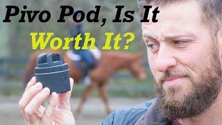 Pivo Pod for Horses, Does it Work?