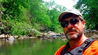 Upstream from Morgan's Cove on South Sauty.