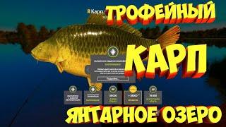 русская рыбалка 4 - Карп Янтарное озеро - рр4 фарм Алексей Майоров russian fishing 4