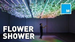 This Augmented Reality Art Exhibit Showers Visitors With Flowers