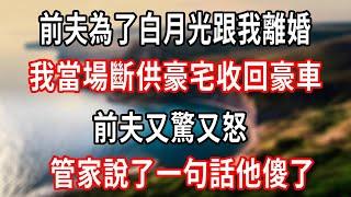 前夫為了白月光跟我離婚，我當場斷供豪宅收回豪車，前夫又驚又怒，管家說了一句話他傻了