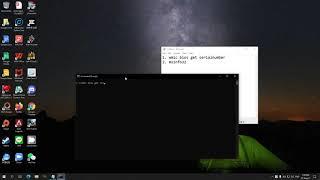 Lucas Studio - How to use Windows Command Prompt to check computer info