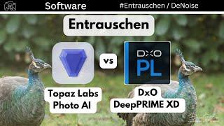 Entrauschen Vergleich DxO DeepPrime XD vs. Topaz Photo AI - Hohes ISO Rauschen entfernen - Denoising