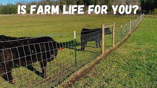 Is the farm life for you?  We have no regrets even though we've had some surprises!