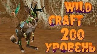 Прокачала кенгуру до уровня 200  WildCraft