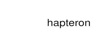 How to pronounce hapteron