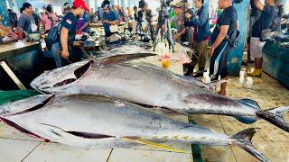  LIVE STREAMING! TUNA FISH CUTTING SHOW, 31 MEI 2025 #Tunacuttinglive #Fishcutting #Tuna