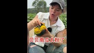 每次出来工作最辛苦不是自己，而是这个两岁多的小跟班，杨杨昨天半夜1点才睡，今天又早早从睡梦中被拉起来，结果到产地又出现了意外#贝贝南瓜#梅子加油 #三农 #农村生活 #农村日常