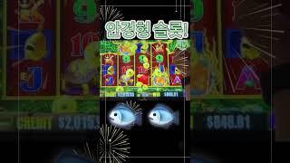 [슬롯쇼츠 No. 1] 오룡이골드 잉어 15배️‍ #slotshorts