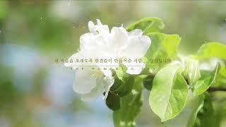 [한국 라오스 국제커플] 국제결혼 결혼 앨범영상