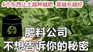 6 Things Fertilizer Companies Don't Want You to Know㊙️6种免费资源让菜园土越种越肥, 菜越长越好, 肥料公司不想告诉你的秘密