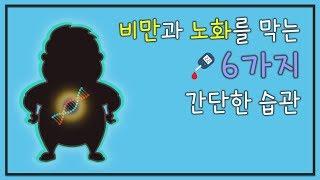 비만과 노화를 방지하는 6가지 핵심습관