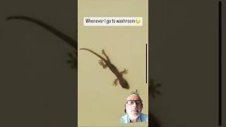https://youtube.com/shorts/oIrssrbu7ZA?si=wQCbZI57q30iYGrl