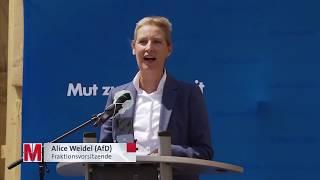 Gekaperter Protest: Corona-Demonstrationen und die Rolle der AfD  |   Monitor 28. Mai 2020