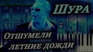 Шура - Отшумели летние дожди / минусовка (задавка) Instrumental