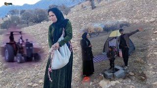 Massoud brought wheat by the landowner and Sarah spread the wheat in the field.