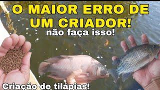 Saiba qual é o maior erro de um criador de peixe iniciante! #psicultura #CRIACAODETILAPIAS