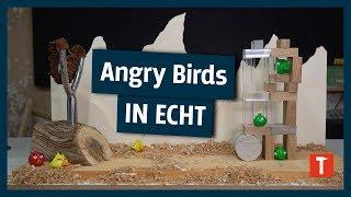 Angry Birds Level vom Profi nachgebaut I mit Nerdy Timber