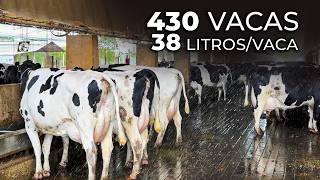 430 VACAS, 37 LITROS/DIA A 40°C: FAZENDA FAMILIAR TRIPLICOU SUA PRODUÇÃO EM 10 ANOS NO PARAGUAI 