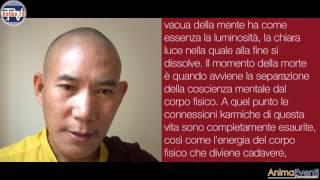 Chamtrul Rinpoche - Il processo della morte nel Buddismo Tibetano (Eng + sub Ita)