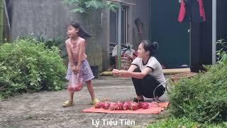 Ly Tieu Tien picks dragon fruit to sell - discovers that the bad guy is her ex-husband...