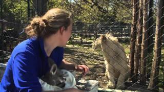 Belgrade Zoo 2011 Episode 3 Part 2