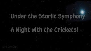 Under the Starlit Symphony: A Night with the Crickets!