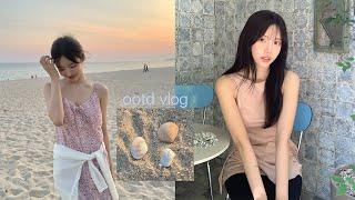 OOTD VLOG🫧성수동나들이,힐링전시,강릉당일치기-밤바다 조개구이,머리자르기,요즘 잘쓰는 메이크업제품