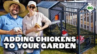 We Built the Ultimate Starter Garden and Smart Chicken Coop