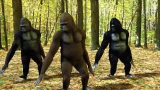 Ego - The Crazy Things We Do Official Music Video (Dancing Gorillas)