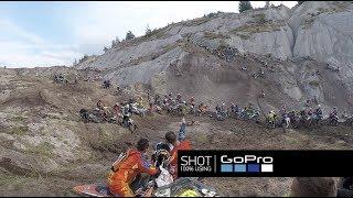 Red Bull 111 Megawatt 2017