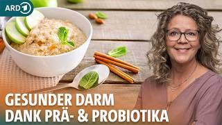 Probiotika und Präbiotika: Welche Rolle spielen sie für Darm und Immunsystem? | ARD GESUND