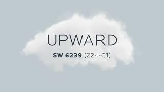 Sherwin-Williams 2024 Color of the Year - Upward