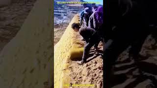 china farming technique  Wood working with art handcraft ideas | skill-art #shorts