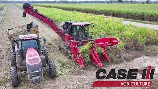 Case IH 9990 Dual Row in Louisiana 4K