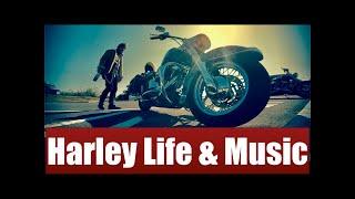 Harley Life & Music