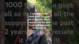 #equestrian#horse#pony#1000#subscribers#exciting#trotting#slomo#funny#reletable#viral#alfie#bella#