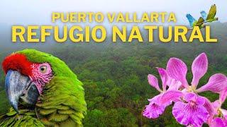 The Macaw Sanctuary and the Botanical Garden of Vallarta - Jalisco.