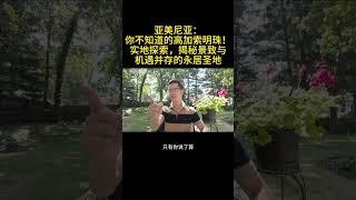 亚美尼亚：你不知道的高加索明珠——实地探索，揭秘景致与机遇并存的永居圣地  #亞美尼亞  #永居 #實地探索 （1/6）