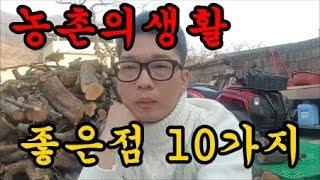 농사이야기 농촌에 살면 좋은점 청도달콤한농장