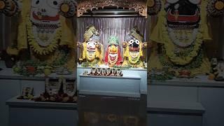 #Hare# krishna# jai#iskcon #shyam #hindugod #harekrishna #vlog#Jagannath #iskcon #hare #shorts#love
