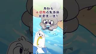 【小魔】为什么小浣熊吃东西前，非要洗一洗？#shorts