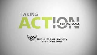 Taking Action for Animals 2010 - Highlights