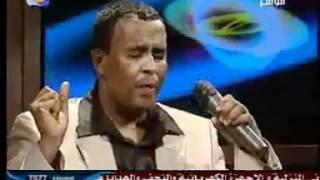 نادر خضر سنلتقي يوما حبيبي