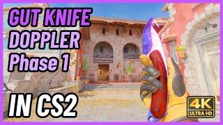  CS2 Gut Knife Doppler (Phase 1) | CS2 Knife In-Game Showcase [4K]