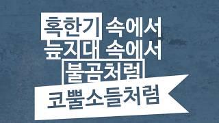 My Mission-미스터탁(서종현)